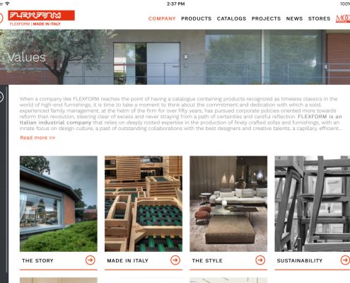 Catalogo Flexform: Company Profile